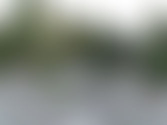 Inventorying the Rock Garden at the Bellevue Botanical Garden