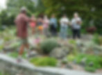 evergreen arboretum workshop