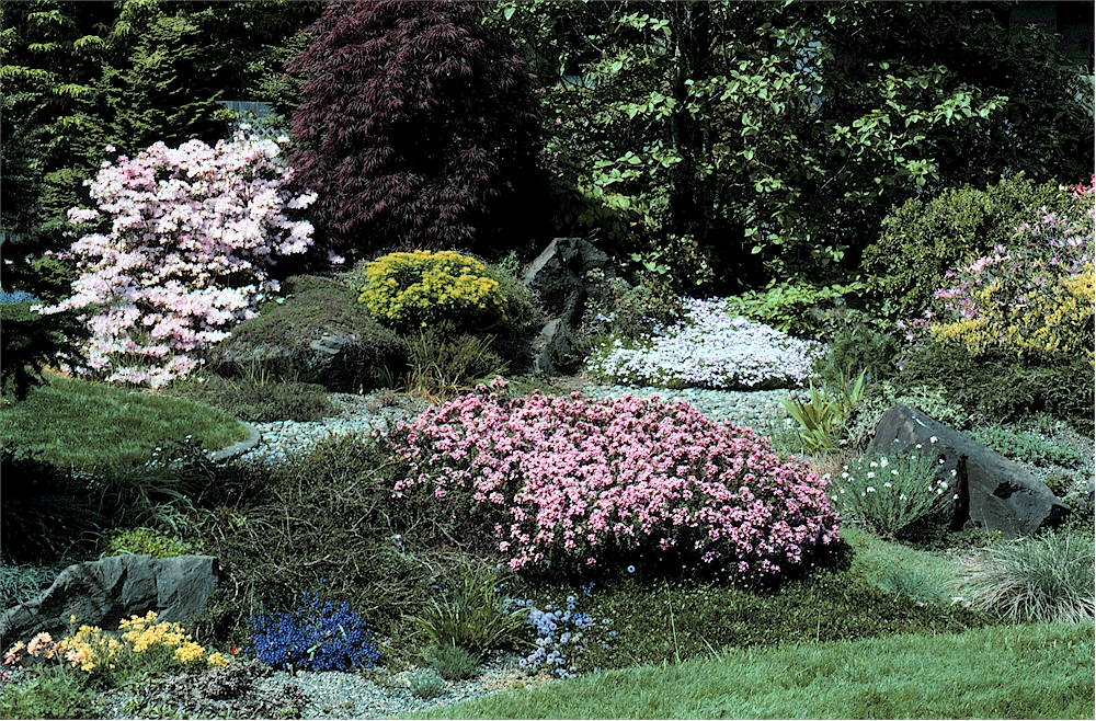 Front Garden of Betty Lowry