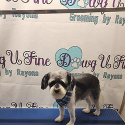 Fine Dawg with Bandana