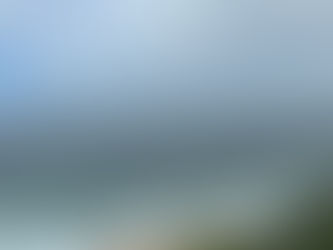 South Africa 2024: Day 1