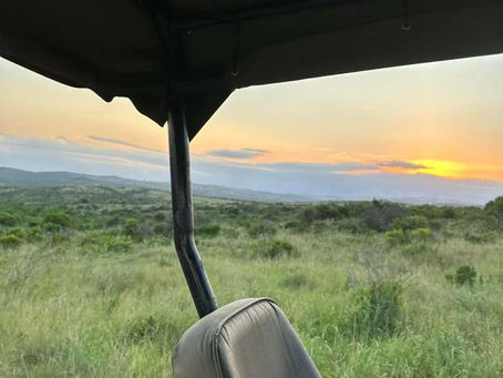 South Africa 2024: Day 2