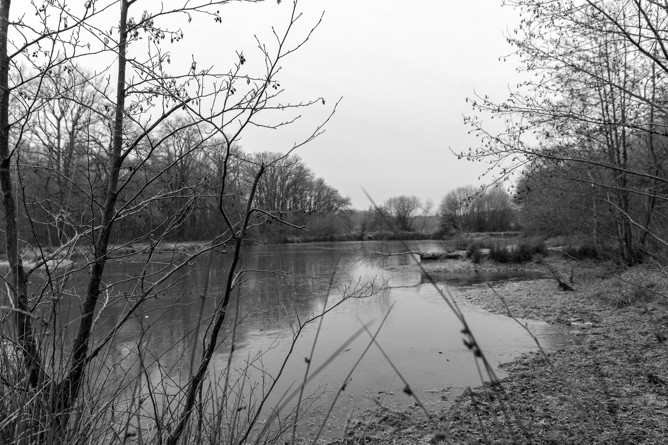 FIC_3928