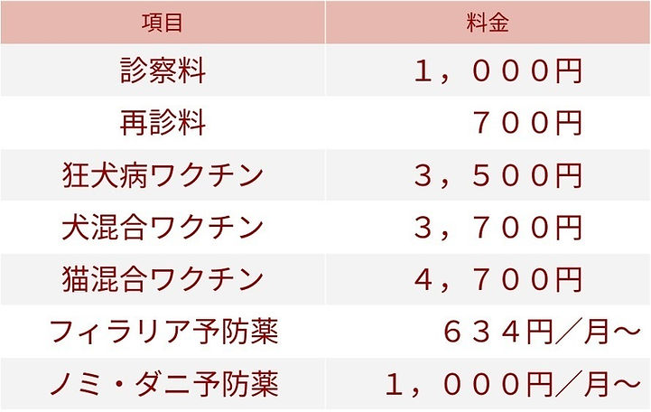 2020年版UAHウェブサイト料金表.jpeg