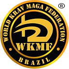 WhatsApp_Image_2024-10-07_at_19.12.26__1_-removebg-preview (1).png