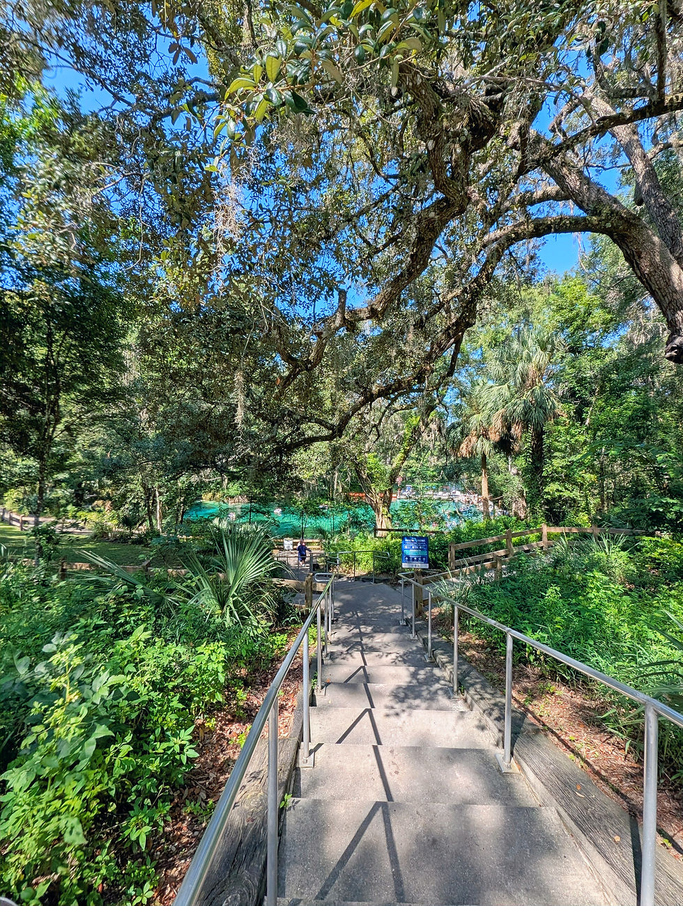 View from the top of the stairs