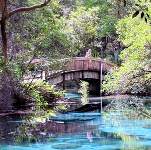 Juniper Springs