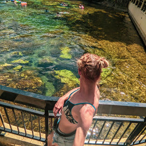 Salt Springs
