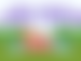 8/28 - See You at the Family Picnic @6pm