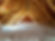performanceisolation-isolationcombles.jpeg