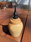 Ash Box