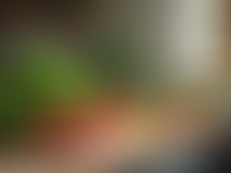 Fresh natural ingredients arranged on a kitchen counter