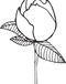 MWS_FlowerWineGlass.png