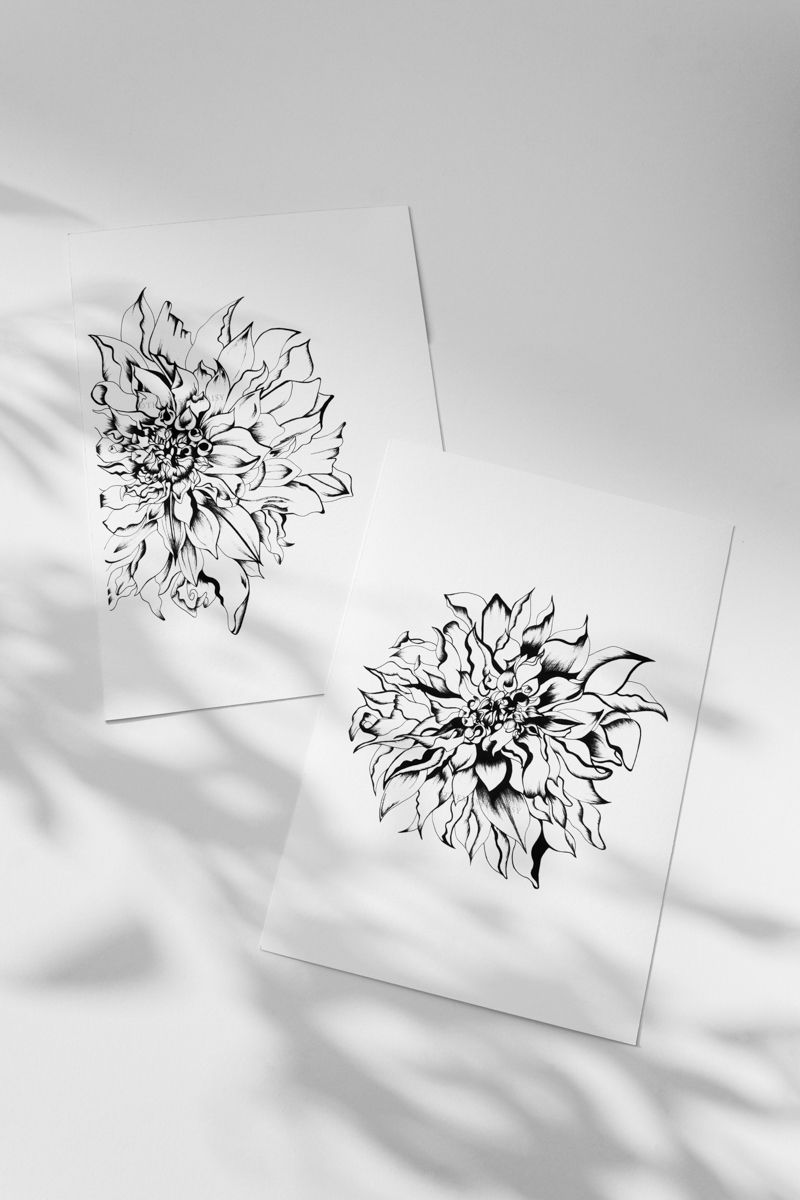 Thumbnail: Half of Me-I, Epiphany | Minimal contemporary wall art | Limited edition fine art archival print of hand-drawn flower