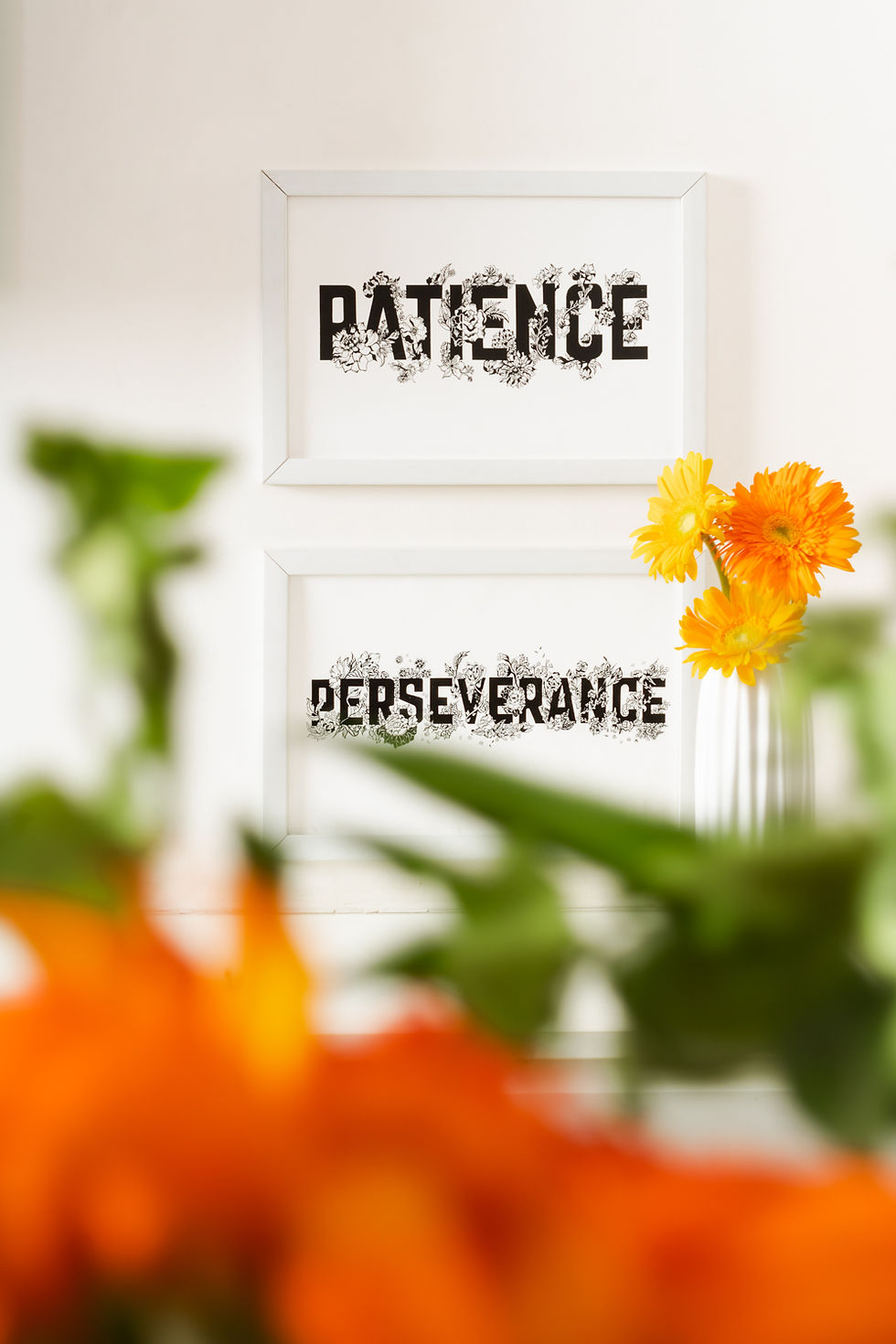 Thumbnail: Perseverance