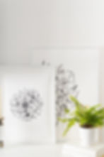 Unfurl-II, Epiphany | Minimal contemporary wall art | Limited edition fine art archival print of hand-drawn flower