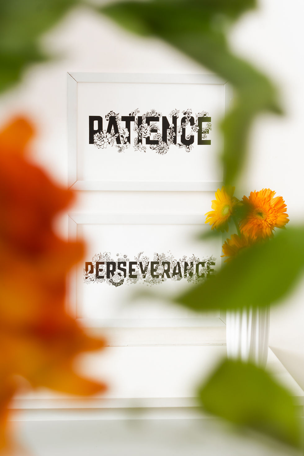 Thumbnail: Perseverance