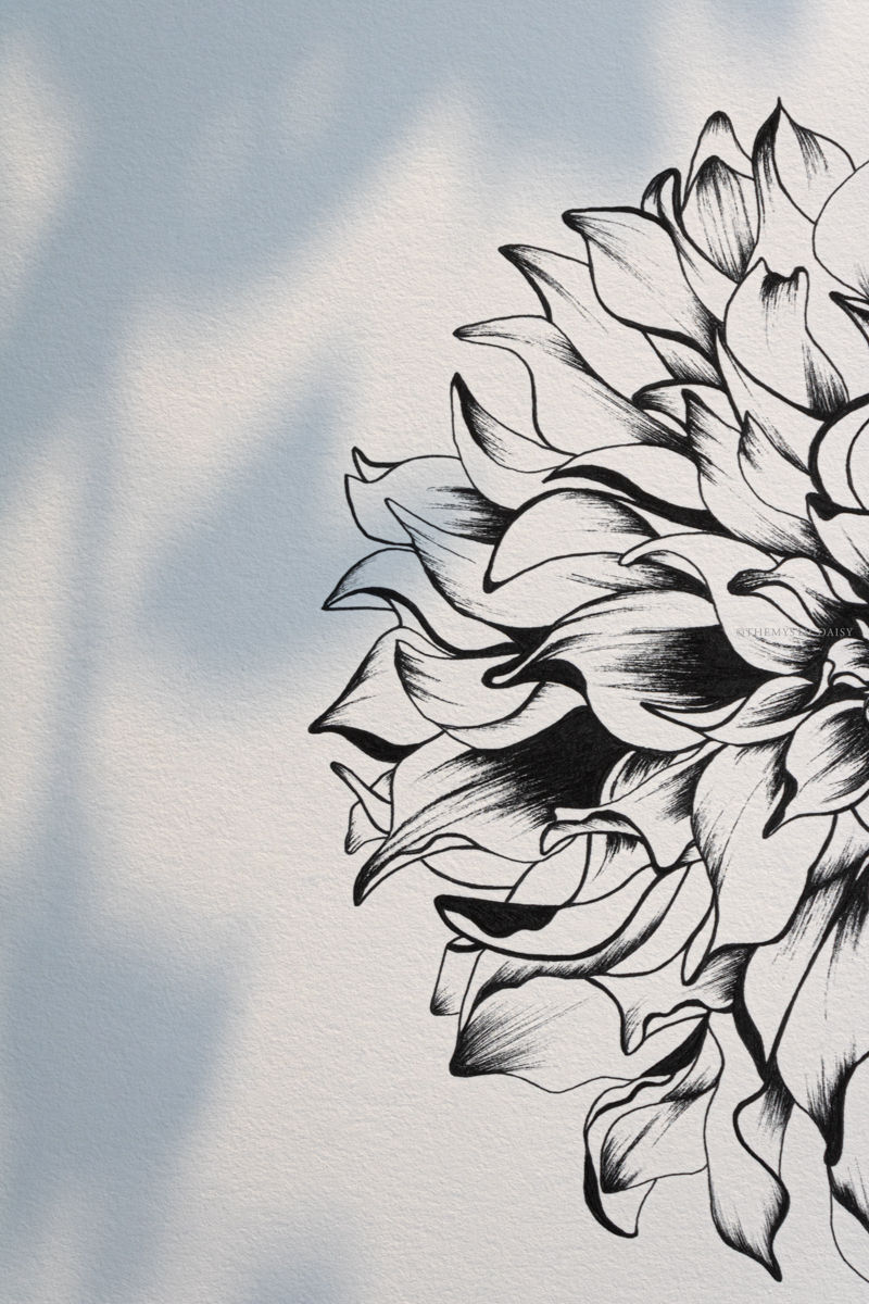 Thumbnail: Unfurl-II, Epiphany | Minimal contemporary wall art | Limited edition fine art archival print of hand-drawn flower