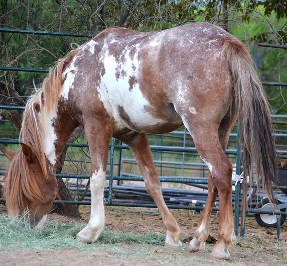DSC_5374_edited.jpg