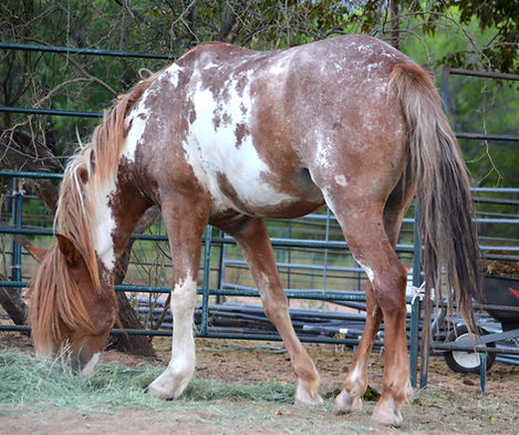 DSC_5374_edited.jpg