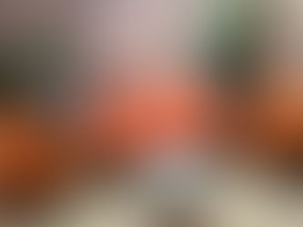 Can the podcast studio be customised to align    with brand identity? 