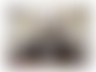 Miroirs  Crack [Win/Mac]