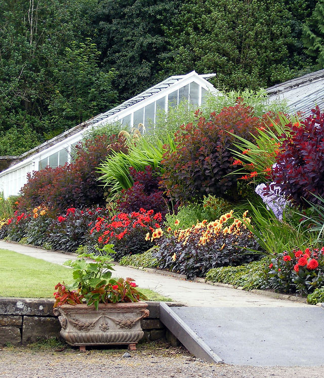 bethesda office plant Bethesda Clinic (Cockburn Central) - Artificial Plants for Reception &  Waiting Areas