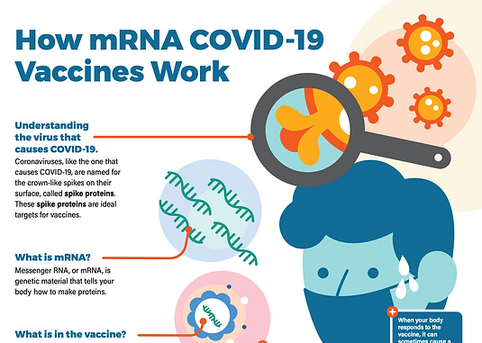 Understanding How COVID-19 Vaccines Work