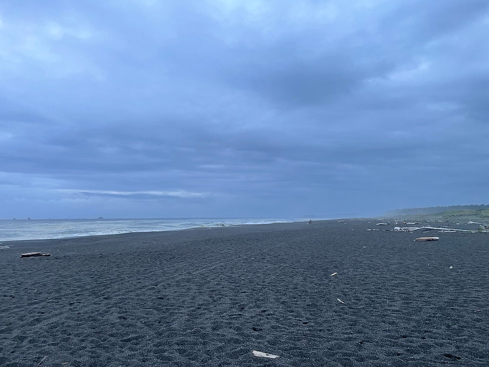 Oregon Coast 2025