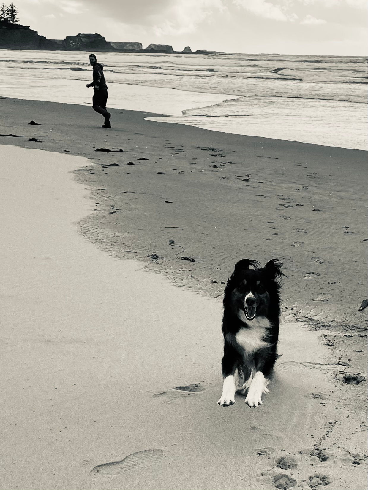 O.C. Joy is Now 2025