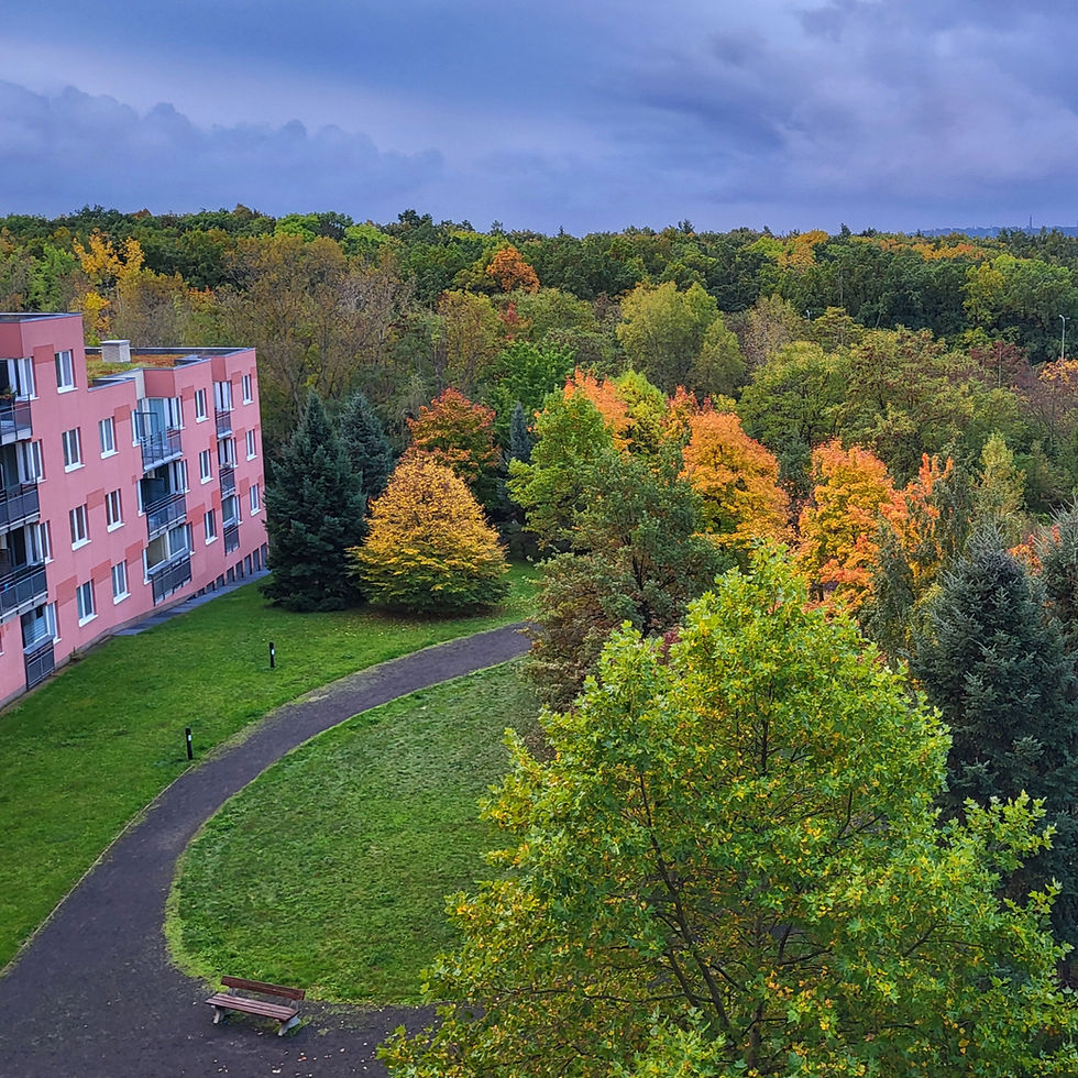 I met myself in a tram