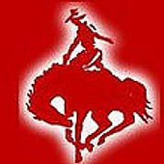 Cowboy Moving & Storage logo