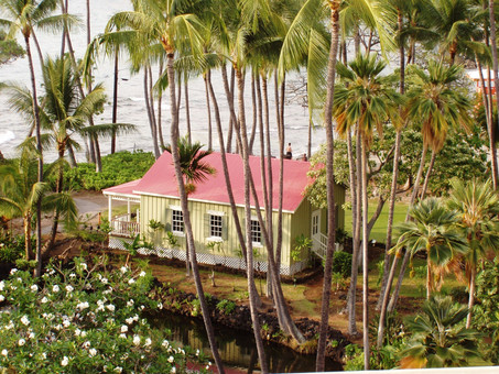 House and Palms