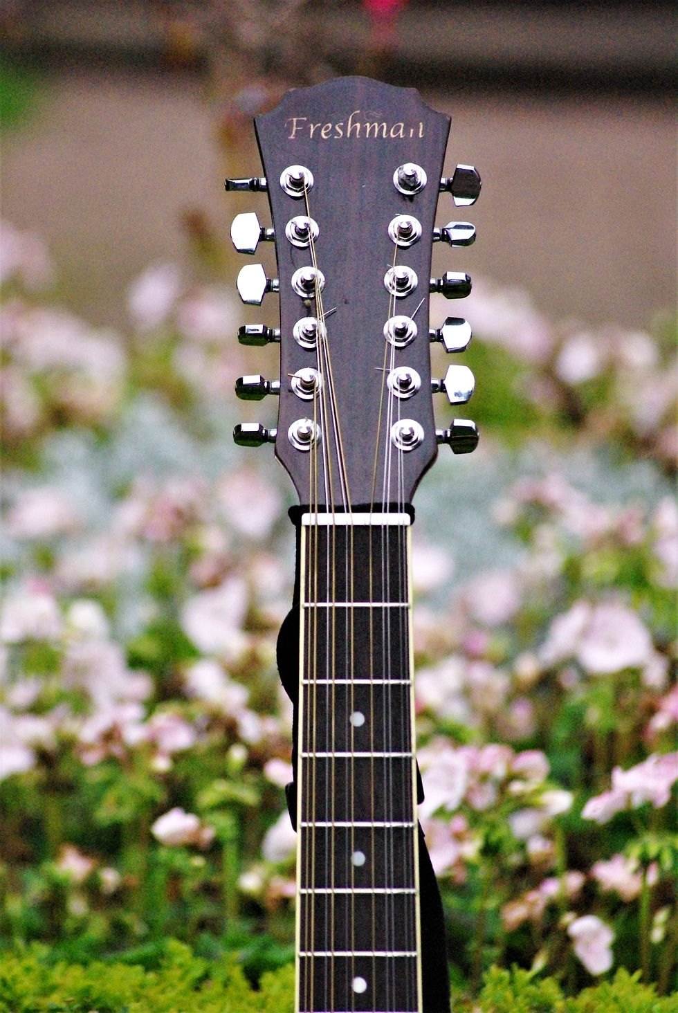 IMGP5943