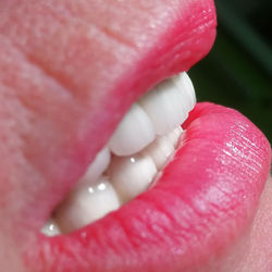 28951419_2026461620967041_6691716127006916608_n