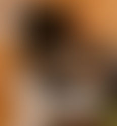 Uzlabota diagnostika ar jaunu ultrasonogrāfu