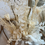 Miniature : Composition naturelle dans un vase en bois