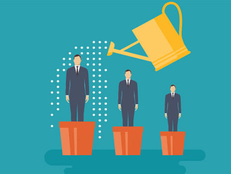 The Evolving Role of HR Professionals: Navigating the Age of Automated Payroll