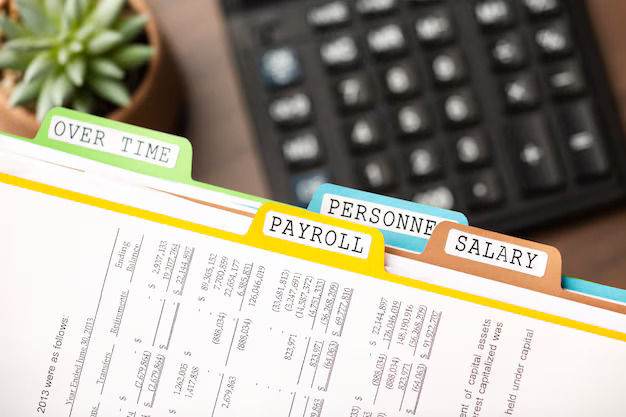 Why Payroll Software Is a Game-Changer for Modern Businesses