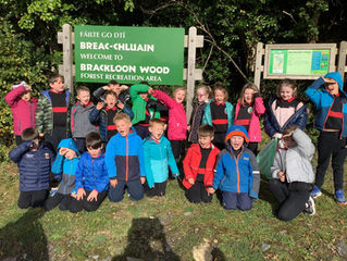 Autumn Nature Walk 🍂