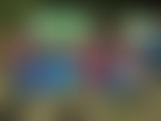 Autumn Nature Walk 🍂