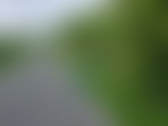 Spring Clean - Litter Pick Up