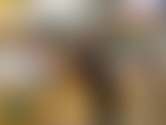 Early Mathematical Activities