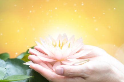 เสริมแต้มบุญ ทำบุญ 4 ภาครับวันออกพรรษา 2562