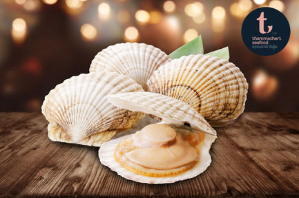 เรื่องราวน่ารู้ของหอยเชลล์ โฮตาเตะ