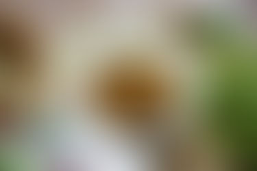 ซี่โครงหมูเขย่า Exclusive Recipes by Tops