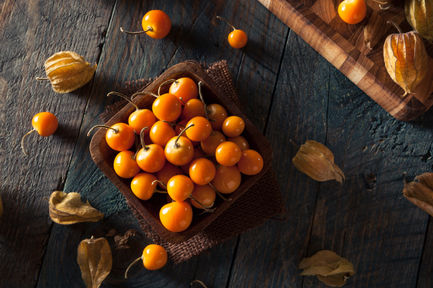 ปอกหมดเปลือก เคพ กูสเบอร์รี สุดยอดผลไม้ชาวดอย