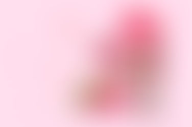 วอลล์ คอร์นเนตโตเลิฟโรส ไอศกรีมกลีบกุหลาบสุดเลิฟ