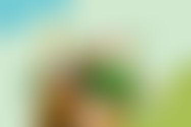 4 ไอเดียกินดีใส่ใจสิ่งแวดล้อม ต้อนรับวันคุ้มครองโลก