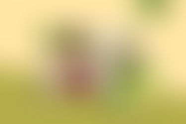 รวมสแน็คสายทุเรียน